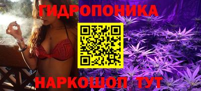 PSILOCYBIN Севастополь