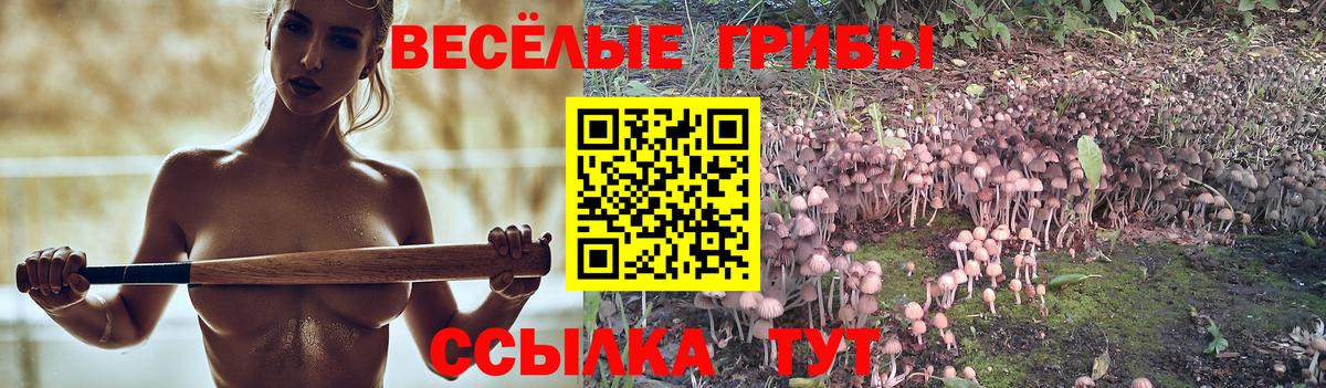 Псилоцибиновые грибы мицелий Ржев