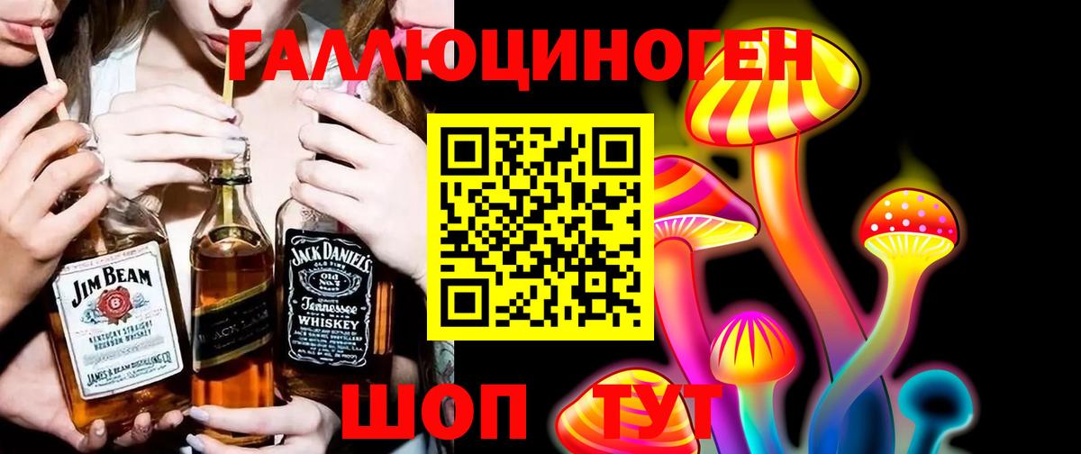 Ржев  Псилоцибиновые грибы прущие грибы  Вход с VPN  Галлюциногенные грибы MAGIC MUSHROOMS 